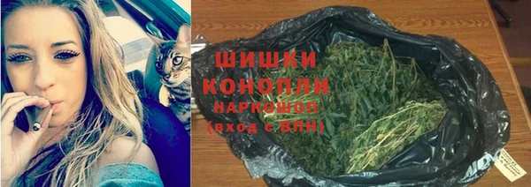 ECSTASY Каменногорск